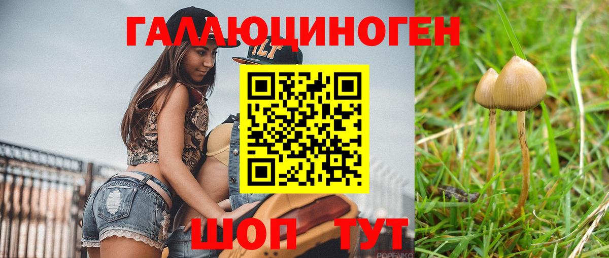 Псилоцибиновые грибы мицелий Домодедово