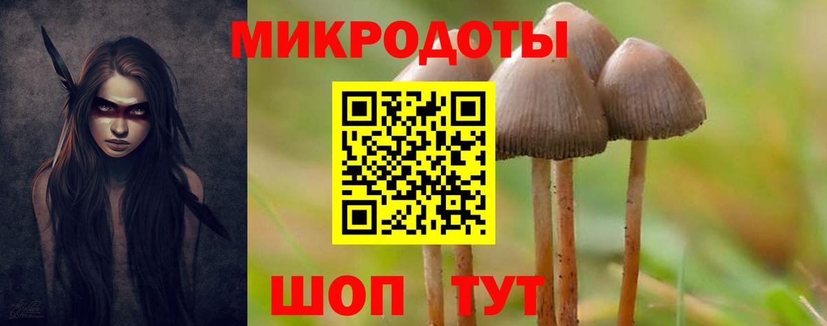 Псилоцибиновые грибы Magic Shrooms  Галлюциногенные грибы Magic Shrooms  Домодедово  Вход с VPN 